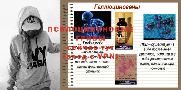 mdma Бородино