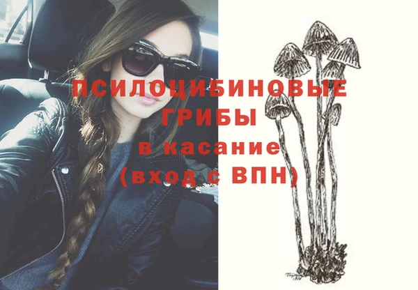 mdma Бородино