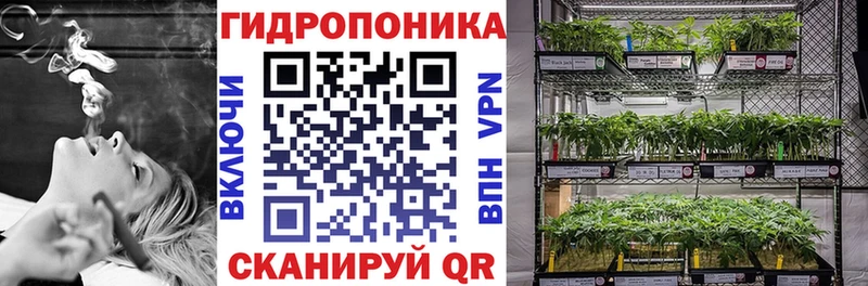 закладки  Череповец  Каннабис Ganja 