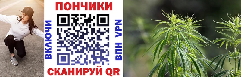 Канабис сатива Череповец